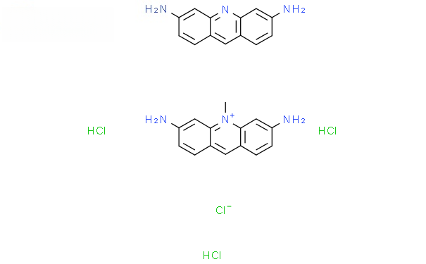 Molecular structure of
