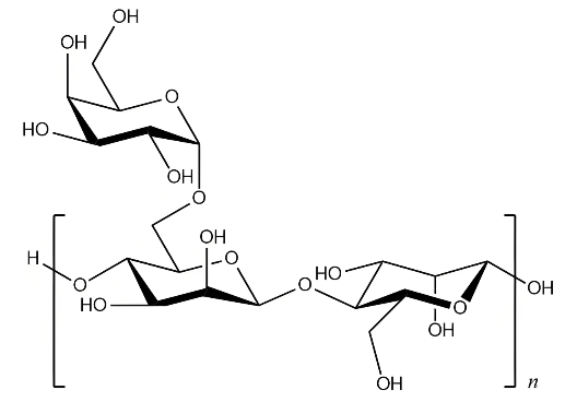 Molecular structure of