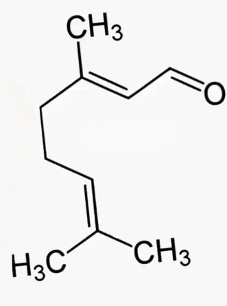 Molecular structure of