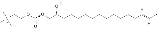 Molecular structure of C12H14O