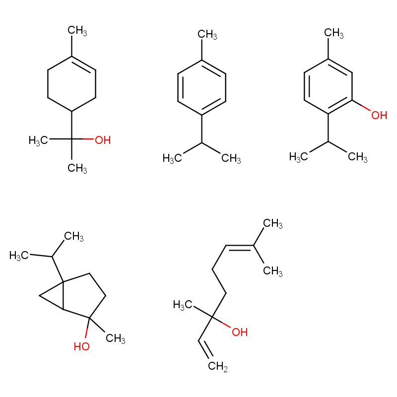 Molecular structure of