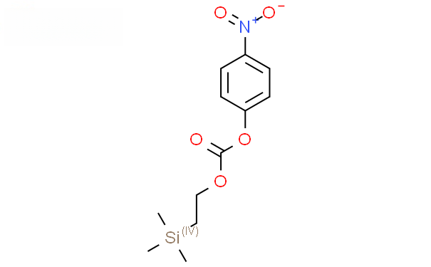 Molecular structure of