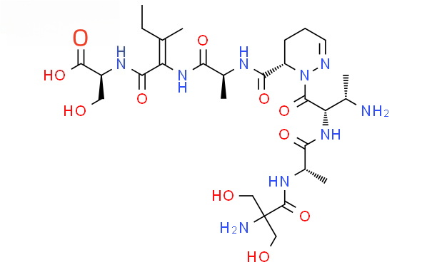 Molecular structure of