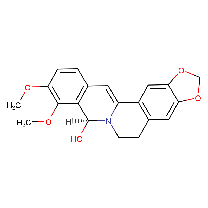 Molecular structure of