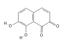 Molecular structure of