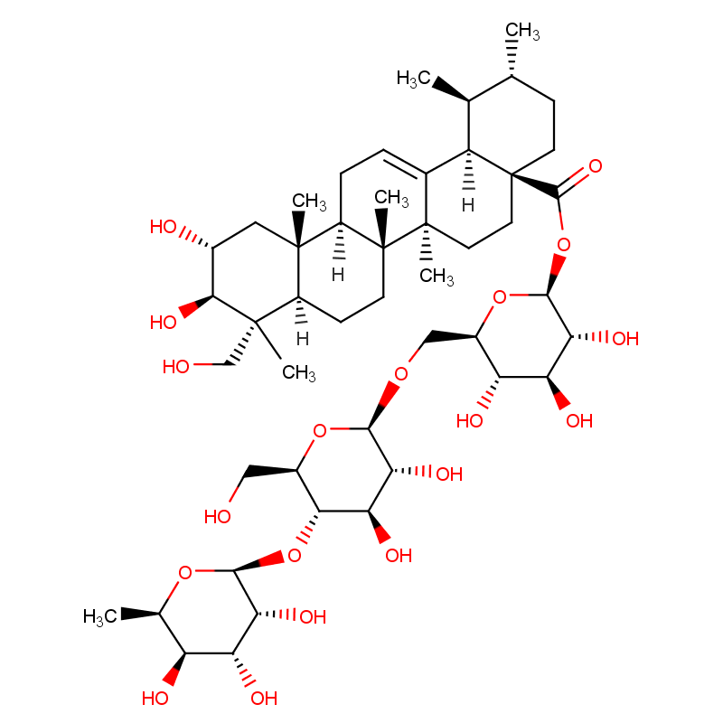 Molecular structure of