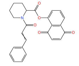 Molecular structure of