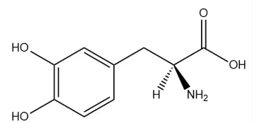 Molecular structure of
