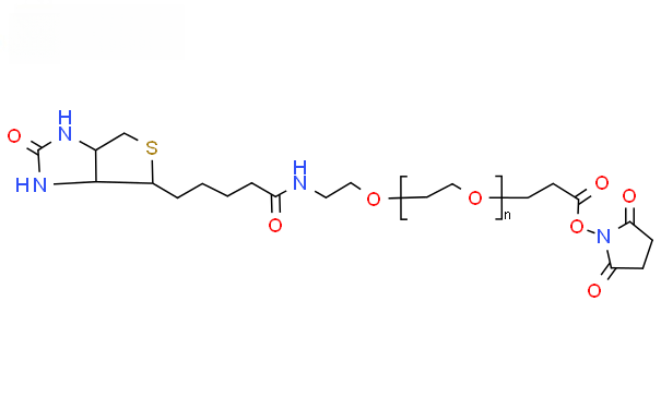 Molecular structure of